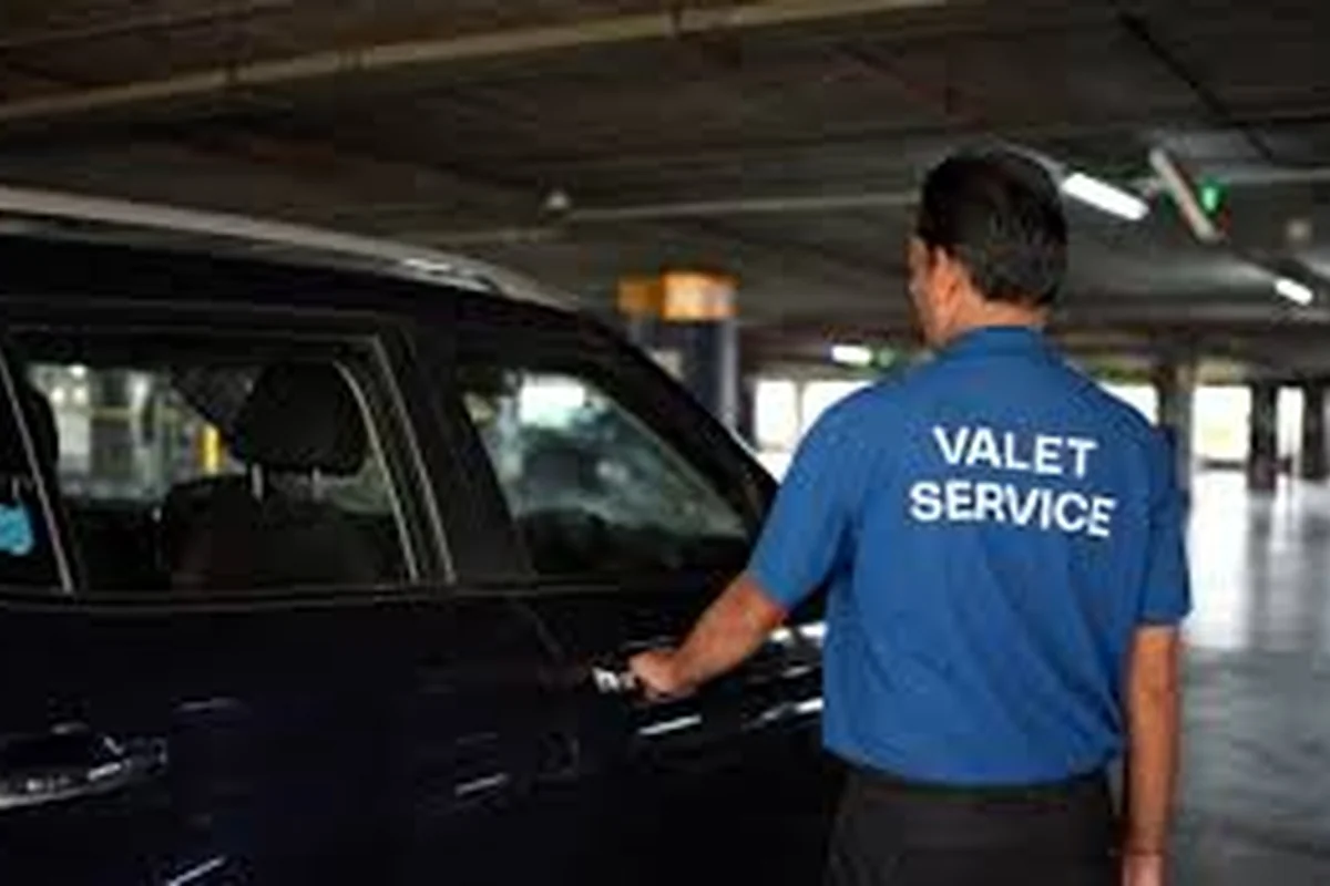 Organized Guest Reception Traffic Flow Event Valet